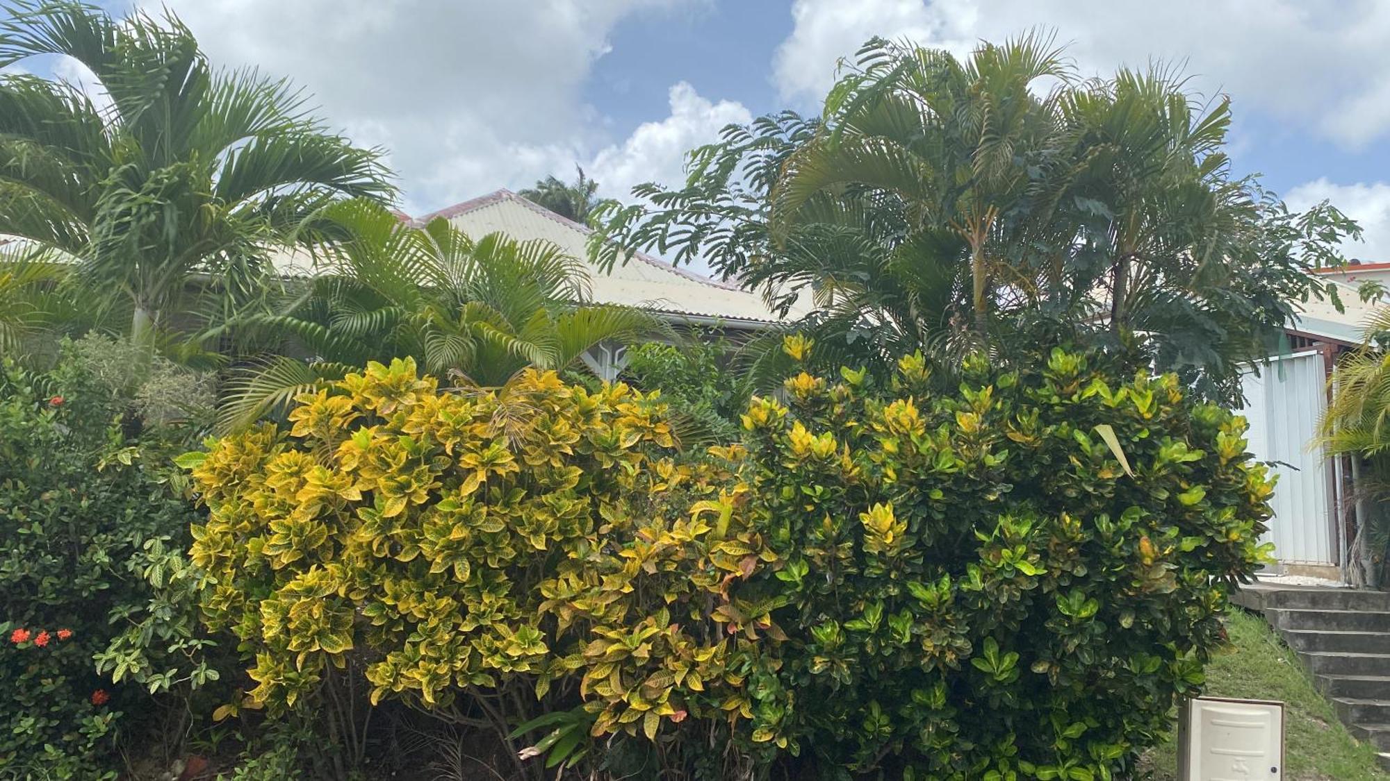 Bungalow Belfond Plage Pointe Marin Sainte-Anne Eksteriør billede